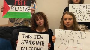 greta thunberg's post which was later deleted